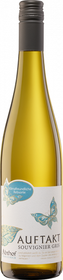 Abthof Auftakt Souvignier Gris