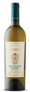 Vina Falernia Sauvignon Blanc Gran Reserva